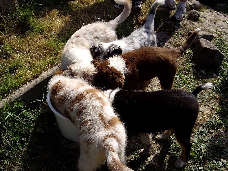 Les balades en famille
